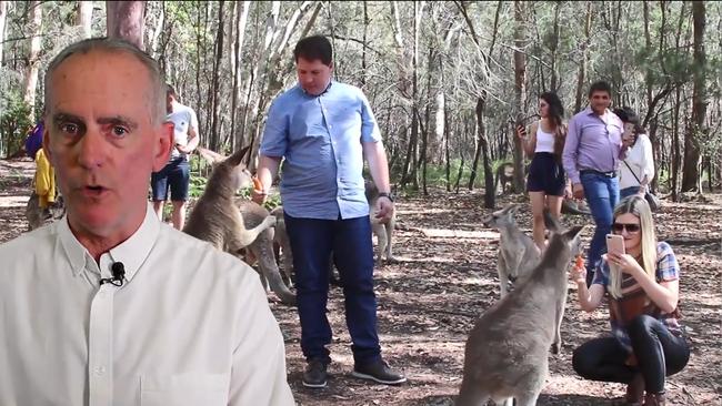 Lake Macquarie MP Greg Piper warned tourists against feeding kangaroos. Picture: Facebook