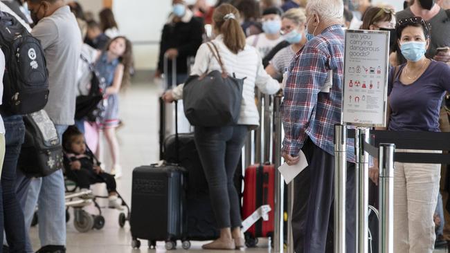 Hobart airport check in. Picture: Chris Kidd