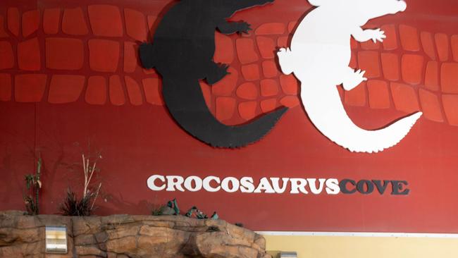 Turtles have been killed at Crocosaurus Cove. Picture: Che Chorley