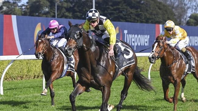 Clear Proof was an excellent winner on debut at Randwick Kensington last month. Picture: Bradley Photos