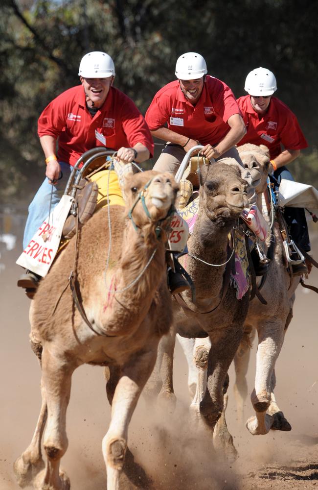 Racing the first bend of the Camel Cup in Alice Springs.