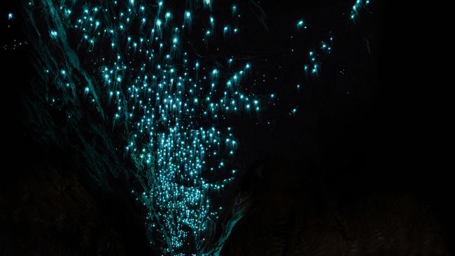 Black water rafting in the caves.