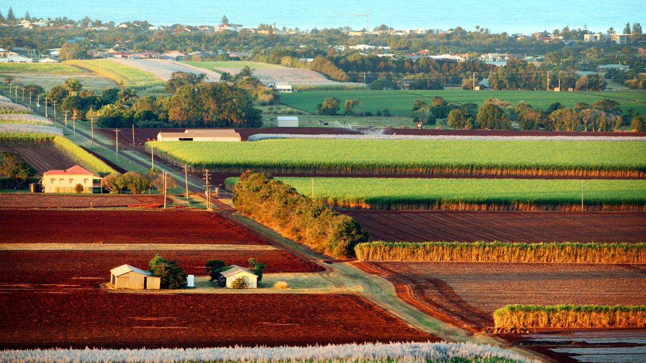 Sugar cane farms near Bargara.