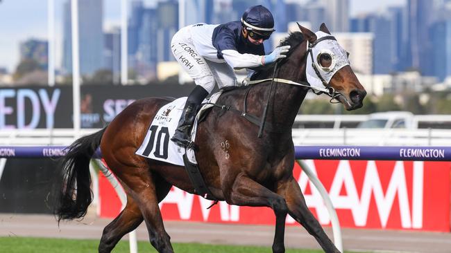 Tavidance bounced back to his best at Flemington. Picture: Getty Images