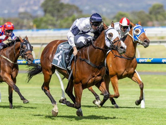 Dubai Poet, ridden by Todd Pannell, wins the Christmas Handicap at Morphettville on Saturday. Picture: Makoto Kaneko