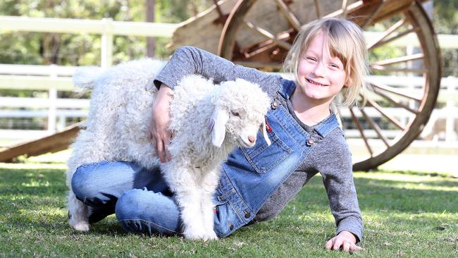 Paradise Country's farm stay. Sen Bell (7) having some fun with a goat. Her mum is Lisa on 0438022662. Picture: Richard Gosling