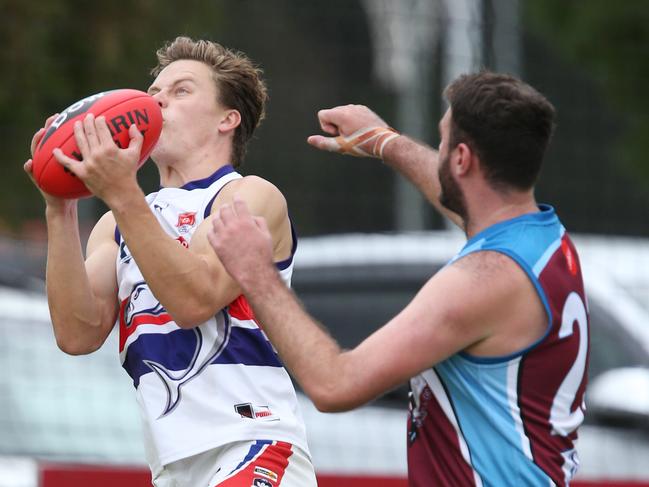 Football BFL: Modewarre v Queenscliff. Queenscliff 36 Riley Martin takes a leap for the ball over Modewarre 23 Zack May Picture: Mark Wilson