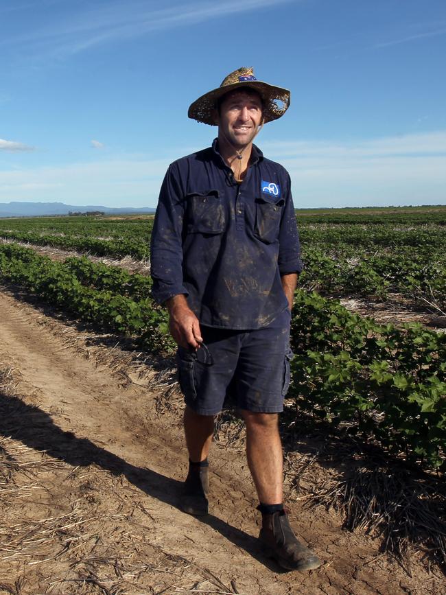 Narrabri farmer Ian Gourley says his crops need more rain.