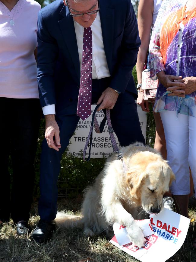 Ellie the golden retriever rips up a Labor poster during a press conference. Picture: Toby Zerna