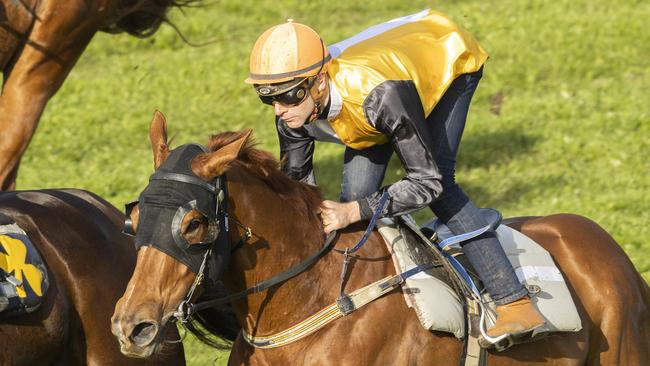 Sam Clipperton was on board Star of the Seas in a recent barrier trial.