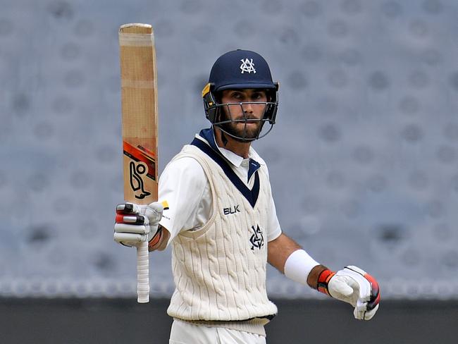 Glenn Maxwell celebrates reaching 50 against WA.