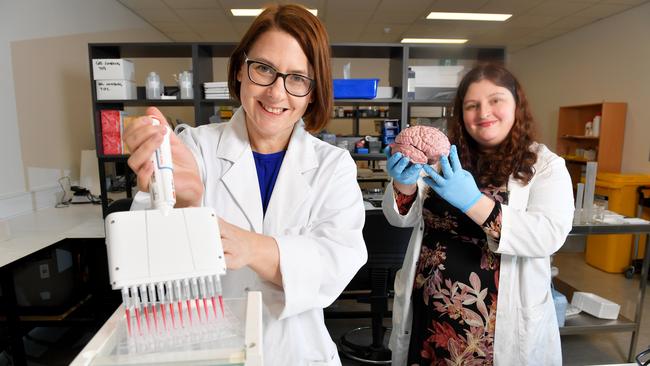 Associate Professors Leonie Heilbronn and Lyndsey Collins-Praino in a University of Adelaide laboratory, August 2020. Picture: Mark Brake