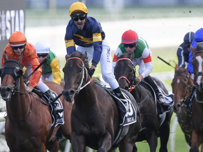 Jockey Glen Boss rides Brutal to victory in the Doncaster Mile.