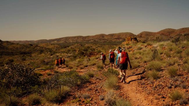 What happened when a hiking novice took on Larapinta. Image: Supplied