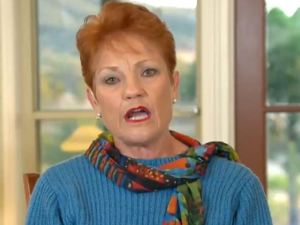 Pauline Hanson: One Nation Leader Unleashes, Today Reporter Slams ...