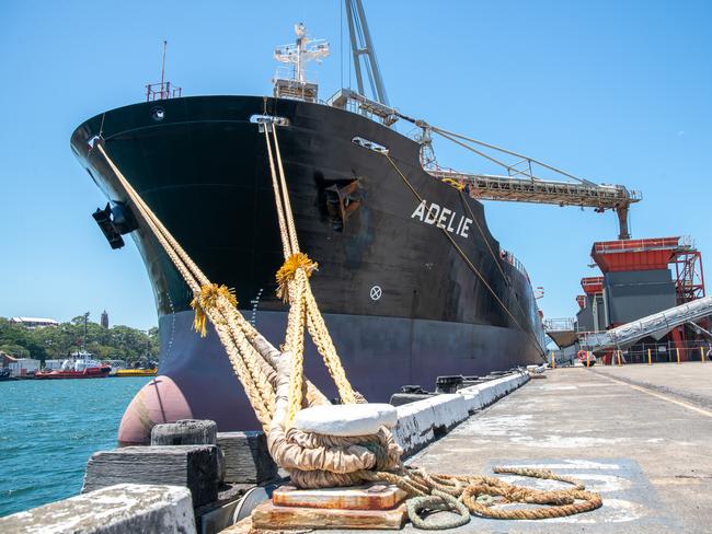 Glebe Island Port is the last remaining port in Sydney Harbour. Picture Thomas Lisson