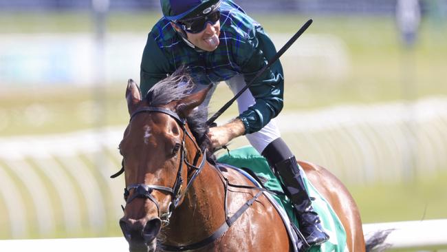 Satin Ribbons looks hard to beat when she resumes at Muswellbrook. Picture: Getty Images