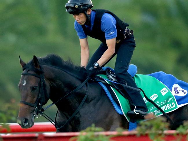 International Japan's To The World training at Canterbury Park ,Canterbury .Picture Gregg Porteous