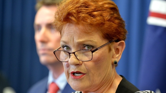 Pauline Hanson has been ordered to remove her satirical political videos by the Australian Electoral Commission (AEC). Photo by Bradley Kanaris/Getty Images.