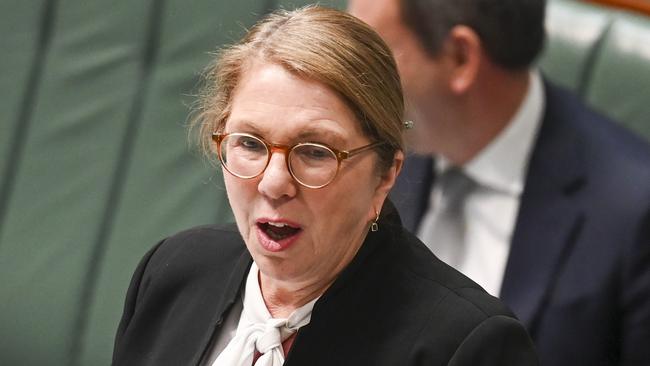 CANBERRA, Australia - NewsWire Photos - August 20, 2024: Catherine King during Question Time at Parliament House in Canberra. Picture: NewsWire / Martin Ollman