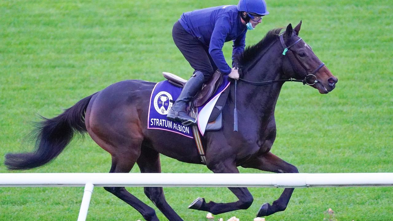 Flemington trackwork