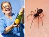 Grandma thanks ‘money spiders’ for $7M win