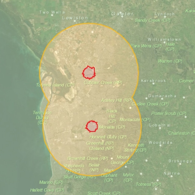 Fruit fly red restriction yellow zones.