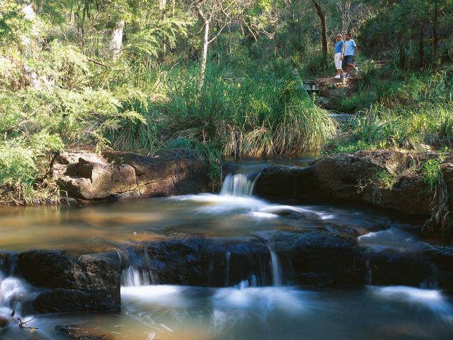 35/47Picnic at Queen Mary Falls Scraping in under 150km from Brisbane, Queen Mary Falls delivers an exhilarating pre- or post-picnic hike in Gondwana Rainforests of Australia World Heritage Area. Follow the ridge line to the lookout then wind your way down to the valley floor.
