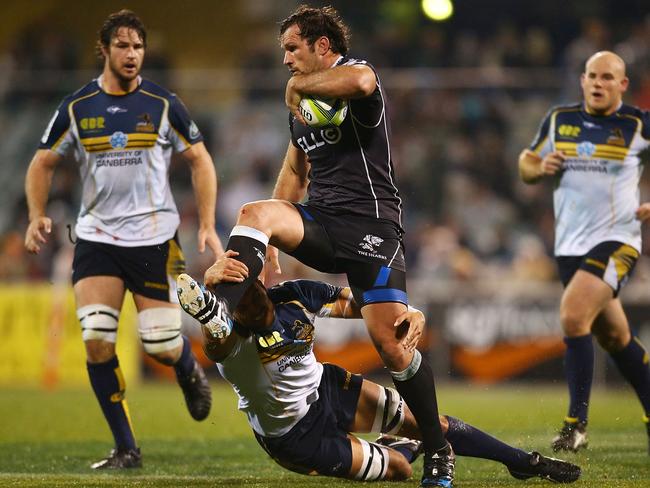 Bismarck du Plessis returns to captain the Sharks.