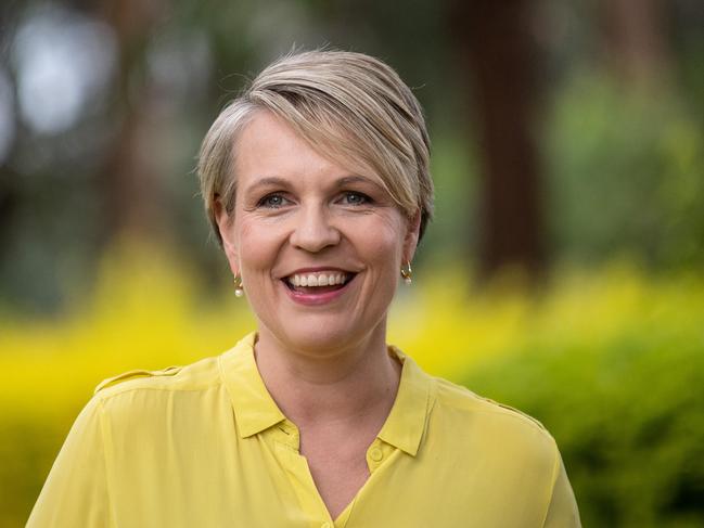 Tanya Plibersek speaks to reporters. Picture: NCA NewsWire / James Gourley