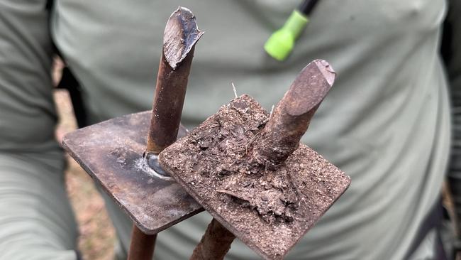 The Queensland Parks and Wildlife Service (QPWS) has increased patrols in Tewantin National Park after multiple metal spikes were found by mountain bikers and rangers near popular trails, embedded in the ground with the sharp end pointing skyward. Picture: Noosa Trailblazers MTB Club Inc