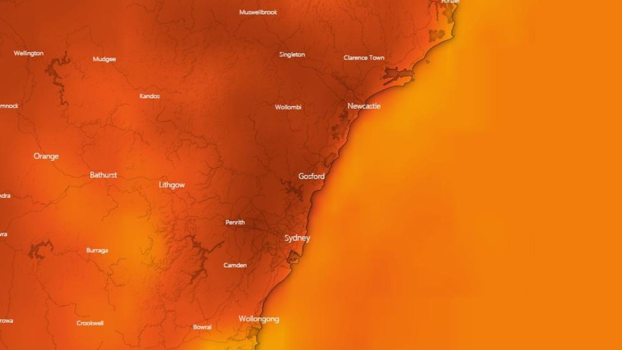 Sydney Weather: City Swelters Through Hottest Summer’s Day So Far ...