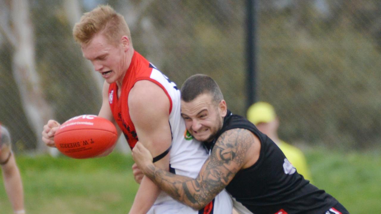 SFL’s top dogs ready to battle for flag decider berth