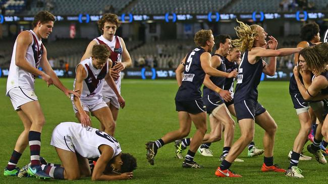 Geelong players celebrate. (Photo by Scott Barbour/AFL Media/Getty Images)
