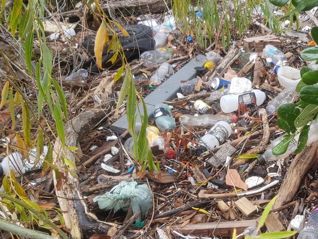 Burnside Council’s chief executive officer Paul Deb said the area had a serious litter problem. Picture: Supplied.