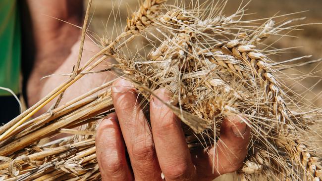 The grains industry has already been burdened with increased input costs, such as fertiliser and chemical costs, before fuel prices began to rise. Pictures: Rob Lang