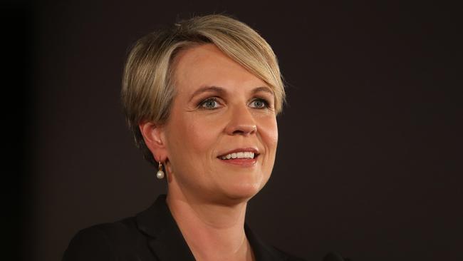 Tanya Plibersek said she could not reconcile her family responsibilities with the additional workload she would have to shoulder as leader. Picture: Kyn Smith