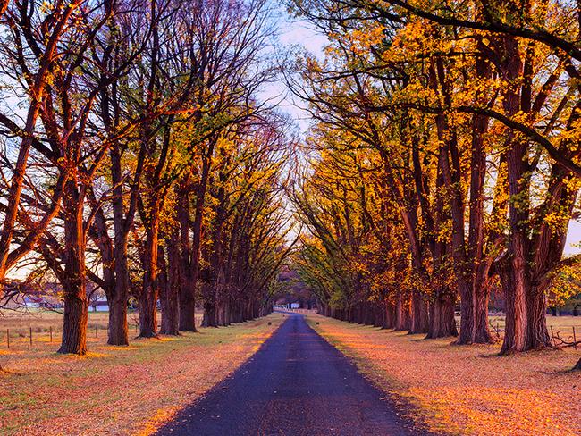 ‘Glitter’ was shot in Uralla in the New England Tablelands, New South Wales. Picture: Destin Sparks.