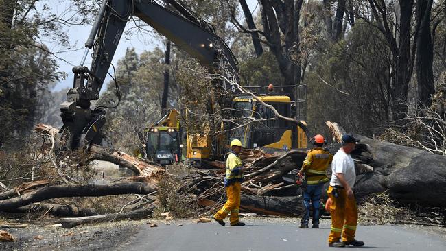 Workers cut down burnt trees to clear the roads after bushfire in Batlow on January 8. Picture: Saeed Khan/AFP