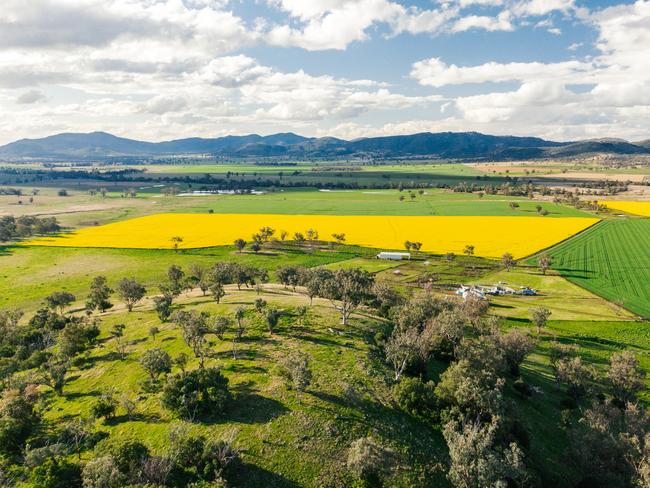 Warragundi Pastoral at Currabubula, in northwest NSW.