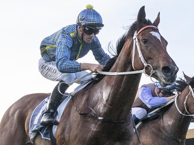 GOSFORD, AUSTRALIA - MAY 07: Jay Ford on Rustic Steel wins race 9 the The Coast during Gosford Gold Cup Day at Gosford Race Club on May 07, 2022 in Gosford, Australia. (Photo by Jenny Evans/Getty Images)