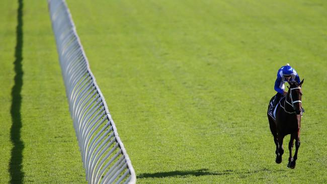 Hugh Bowman riding 'Winx' prior to The Longines Queen Elizabeth Stakes at Royal Randwick Racecourse. Photo: Jason McCawley