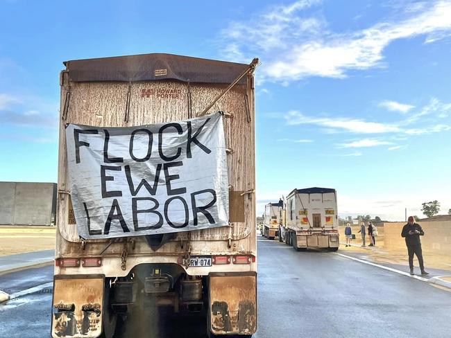 Keep the Sheep campaign launched last Thursday. Picture: Lara Jensen