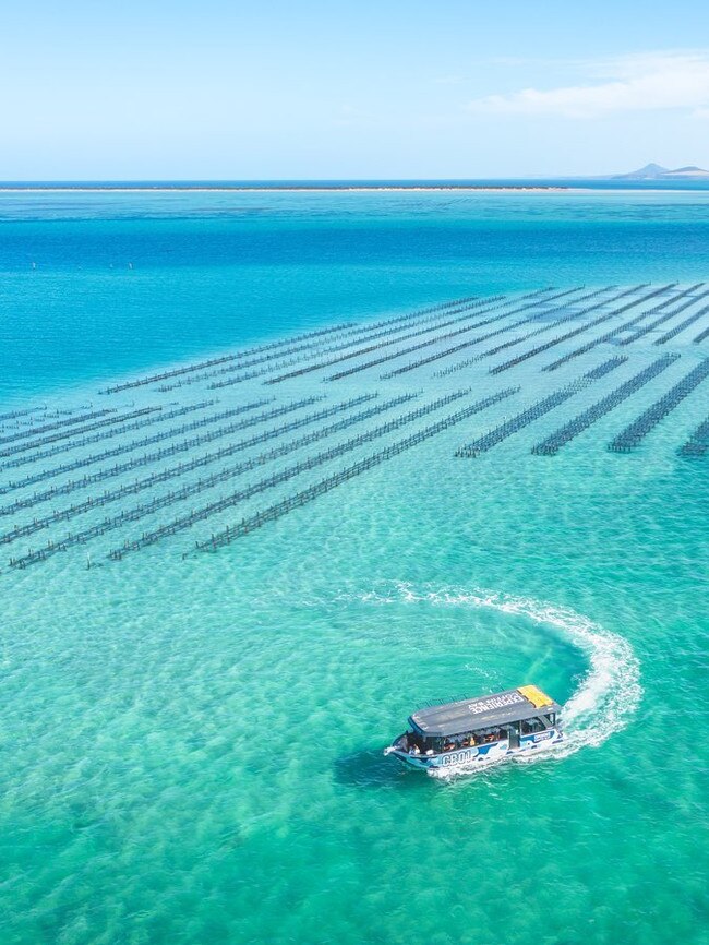 An oyster farm tour in Coffin Bay. Picture: Experience Coffin Bay