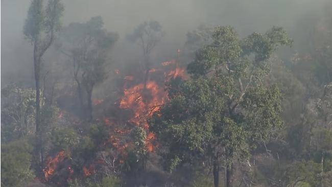 Residents in Beerwah and Emerald have been warned to leave immediately due to the fires. Photo: ABC