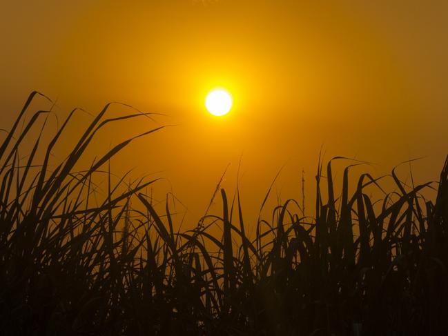 Time may be up for Australia’s northernmost sugar mill