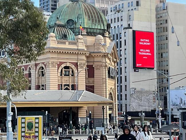 Large billboards popped up in Sydney and Melbourne earlier this year calling on Aussies to stop eating salmon. Picture: NOFF