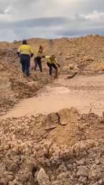 Miners hilariously rescue baby emu