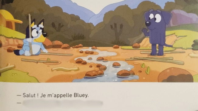 Bluey fans now know what language Jean-Luc speaks in France