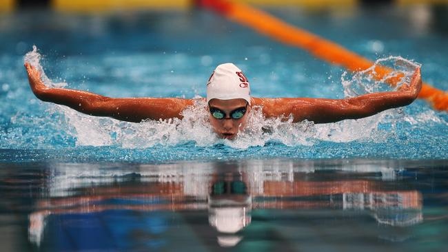 Glory days... Stephanie in the pool. Picture: Phil Hillyard